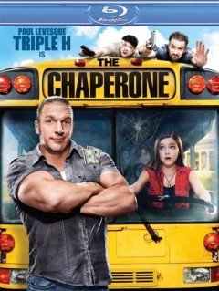 Сопровождающий  (2011)
