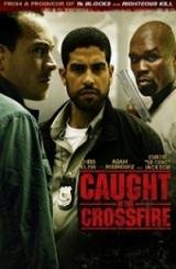 Под перекрестным огнем  (2010)