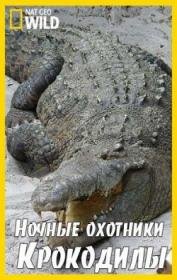 National Geographic: Ночные охотники. Крокодилы (2011) смотреть онлайн hd National Geographic: Ночные охотники. Крокодилы (2011) смотреть онлайн hd