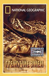 National Geographic: Гремучие змеи (1999) смотреть онлайн hd National Geographic: Гремучие змеи (1999) смотреть онлайн hd