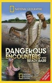 National Geographic: Опасные встречи: смертоносные змеи (2006) смотреть онлайн hd National Geographic: Опасные встречи: смертоносные змеи (2006) смотреть онлайн hd