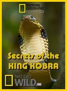 National Geographic: Загадки королевской кобры (2009)