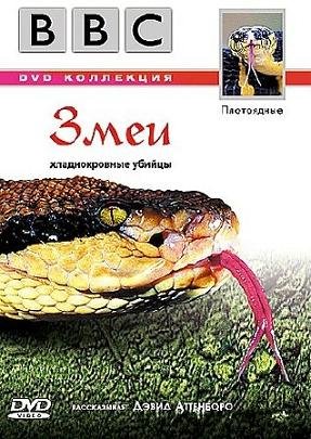 BBC: Плотоядные. Змеи (2003) смотреть онлайн hd BBC: Плотоядные. Змеи (2003) смотреть онлайн hd