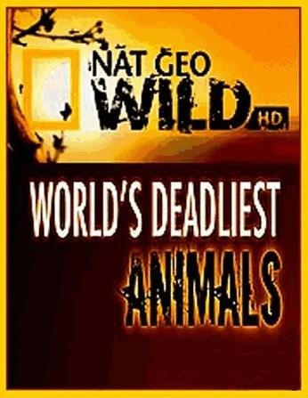 National Geographic: Самые опасные животные мира: Амазония (2007) смотреть онлайн hd National Geographic: Самые опасные животные мира: Амазония (2007) смотреть онлайн hd