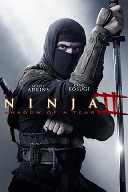Ниндзя 2 (2013)