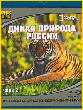 National Geographic. Дикая природа России (2009) смотреть онлайн hd National Geographic. Дикая природа России (2009) смотреть онлайн hd