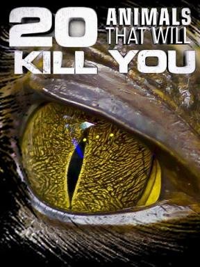 Nat Geo Wild: 20 животных, которые могут вас убить (2012) смотреть онлайн hd Nat Geo Wild: 20 животных, которые могут вас убить (2012) смотреть онлайн hd