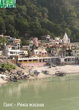 Animal planet: В дебрях Индии.Ганг - Река жизни (2011)