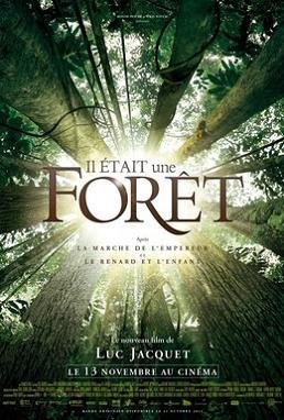 Однажды в лесу (2014) смотреть онлайн hd Однажды в лесу (2014) смотреть онлайн hd