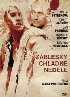 Проблеск в холодном воскресенье (2012)