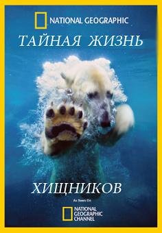 National Geographic: Тайная жизнь хищников (2013) смотреть онлайн hd National Geographic: Тайная жизнь хищников (2013) смотреть онлайн hd
