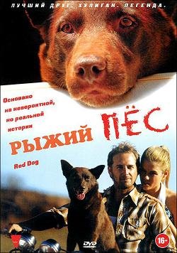 Рыжий пес (2011) смотреть онлайн hd Рыжий пес (2011) смотреть онлайн hd