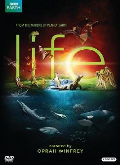 BBC: Жизнь (2009) смотреть онлайн hd BBC: Жизнь (2009) смотреть онлайн hd