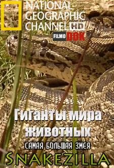 National Geographic: Гиганты мира животных. Самая большая змея (2011) смотреть онлайн hd National Geographic: Гиганты мира животных. Самая большая змея (2011) смотреть онлайн hd