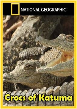 National Geographic: Крокодилы Катумы (2010) смотреть онлайн hd National Geographic: Крокодилы Катумы (2010) смотреть онлайн hd