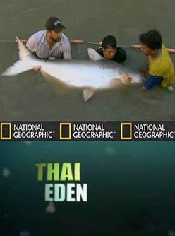National Geographic: Рыбы-чудовища: "Таиландский рай"(2010) смотреть онлайн hd National Geographic: Рыбы-чудовища: "Таиландский рай"(2010) смотреть онлайн hd