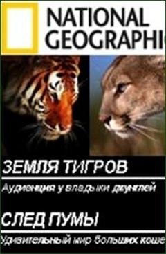 National Geographic: Земля тигров и След пумы (1984-2000) смотреть онлайн hd National Geographic: Земля тигров и След пумы (1984-2000) смотреть онлайн hd