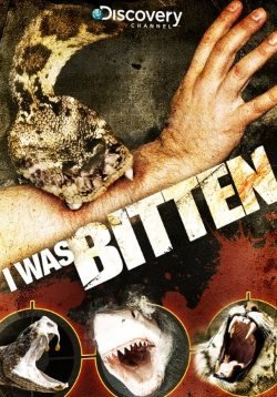 Меня укусили (2008) смотреть онлайн hd Меня укусили (2008) смотреть онлайн hd