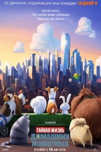 Тайная жизнь домашних животных (2016) смотреть онлайн hd Тайная жизнь домашних животных (2016) смотреть онлайн hd