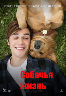Собачья жизнь (2017) смотреть онлайн hd Собачья жизнь (2017) смотреть онлайн hd
