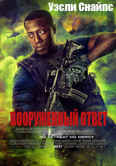 Вооружённый ответ (2017)