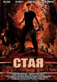 Стая (2016)