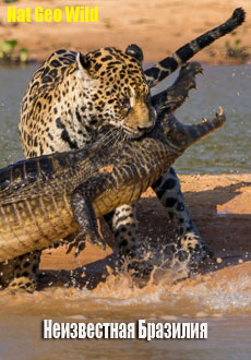Nat Geo Wild: Неизвестная Бразилия (2012) смотреть онлайн hd Nat Geo Wild: Неизвестная Бразилия (2012) смотреть онлайн hd