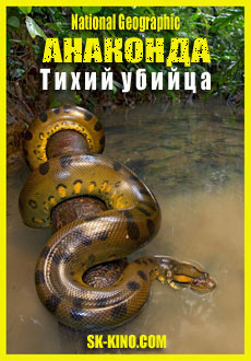 National Geographic. Анаконда: Тихий убийца (2014) смотреть онлайн hd National Geographic. Анаконда: Тихий убийца (2014) смотреть онлайн hd