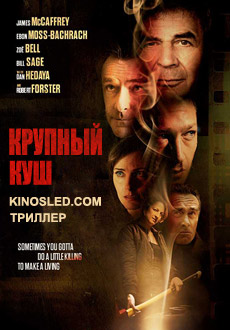 Крупный куш (2018)