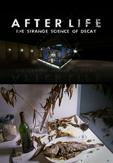 После Смерти: Странная Наука Разложения (2011) смотреть онлайн hd После Смерти: Странная Наука Разложения (2011) смотреть онлайн hd