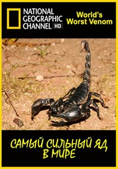 National Geographic. Самый сильный яд в мире (2007) смотреть онлайн hd National Geographic. Самый сильный яд в мире (2007) смотреть онлайн hd