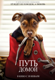 Путь домой (2018)