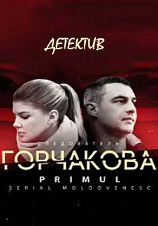 Следователь Горчакова (2019)