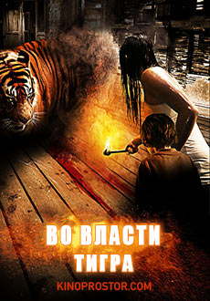 Во власти тигра (2010)