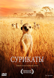 Сурикаты (2008) смотреть онлайн hd Сурикаты (2008) смотреть онлайн hd