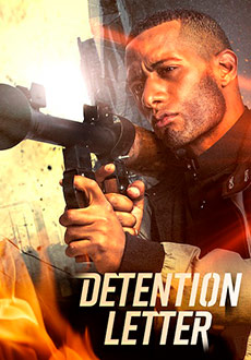 Поздний арест (2017)