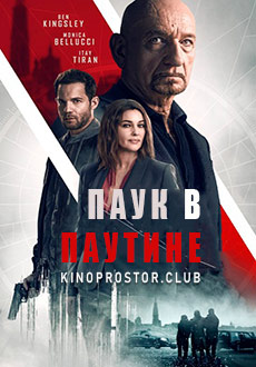 Паук в паутине (2019)