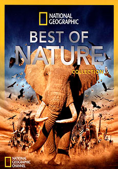 National Geographic: Великие миграции (2010)