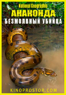 Анаконда: Безмолвный убийца (2015) смотреть онлайн hd Анаконда: Безмолвный убийца (2015) смотреть онлайн hd