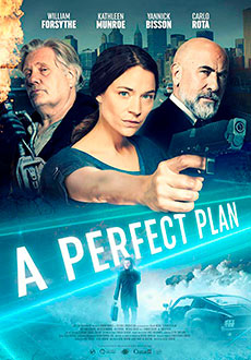 Идеальный план (2020)