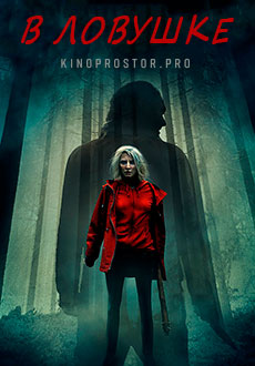 В ловушке (2020)