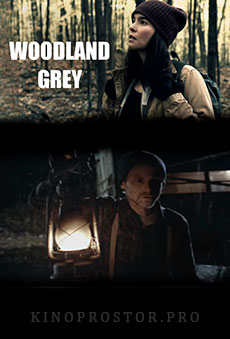 Серый лес (2021)