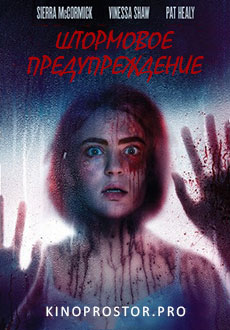 Штормовое предупреждение (2021)