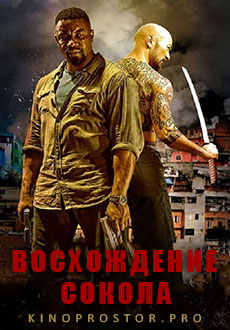 Восхождение Сокола (2014)