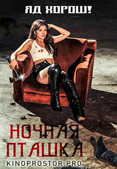 Ночная пташка (2023)