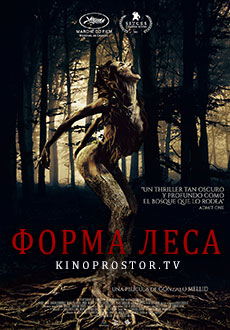 Форма леса (2021)