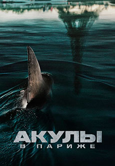 Акулы в Париже (2024) смотреть онлайн hd Акулы в Париже (2024) смотреть онлайн hd