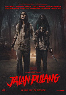 Дорога домой (2025)